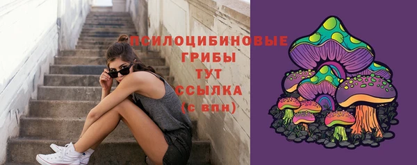 шишки Покачи