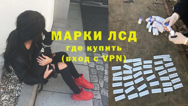 apvp Покров