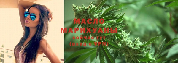 шишки Покачи