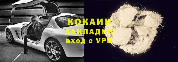 шишки Покачи