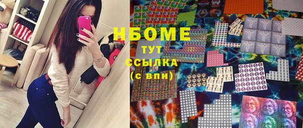 шишки Покачи