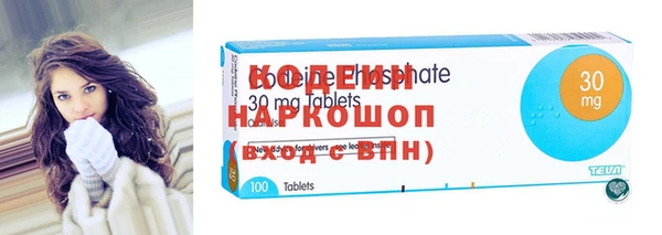 шишки Покачи