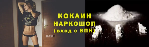 шишки Покачи