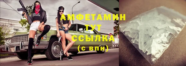 шишки Покачи