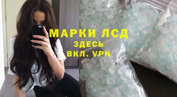 шишки Покачи