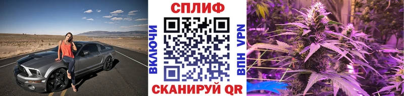 Бошки марихуана гибрид  Купить закладки  Пучеж 